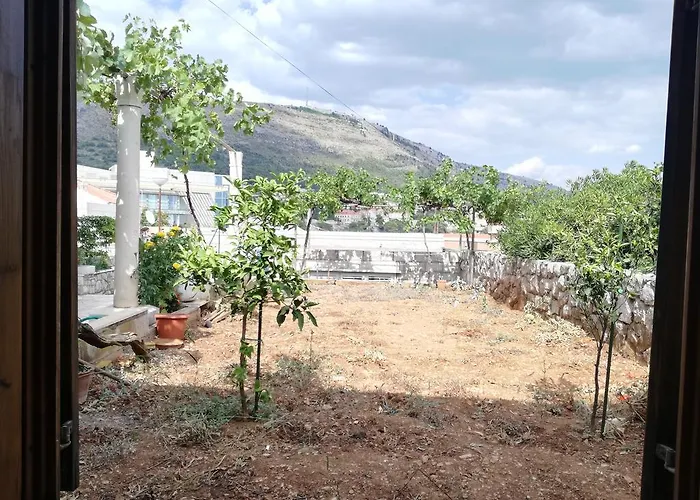 Vera ドゥブロブニク